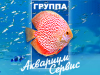 МИР АКВАРИУМА, аквариумный салон Нижний Новгород